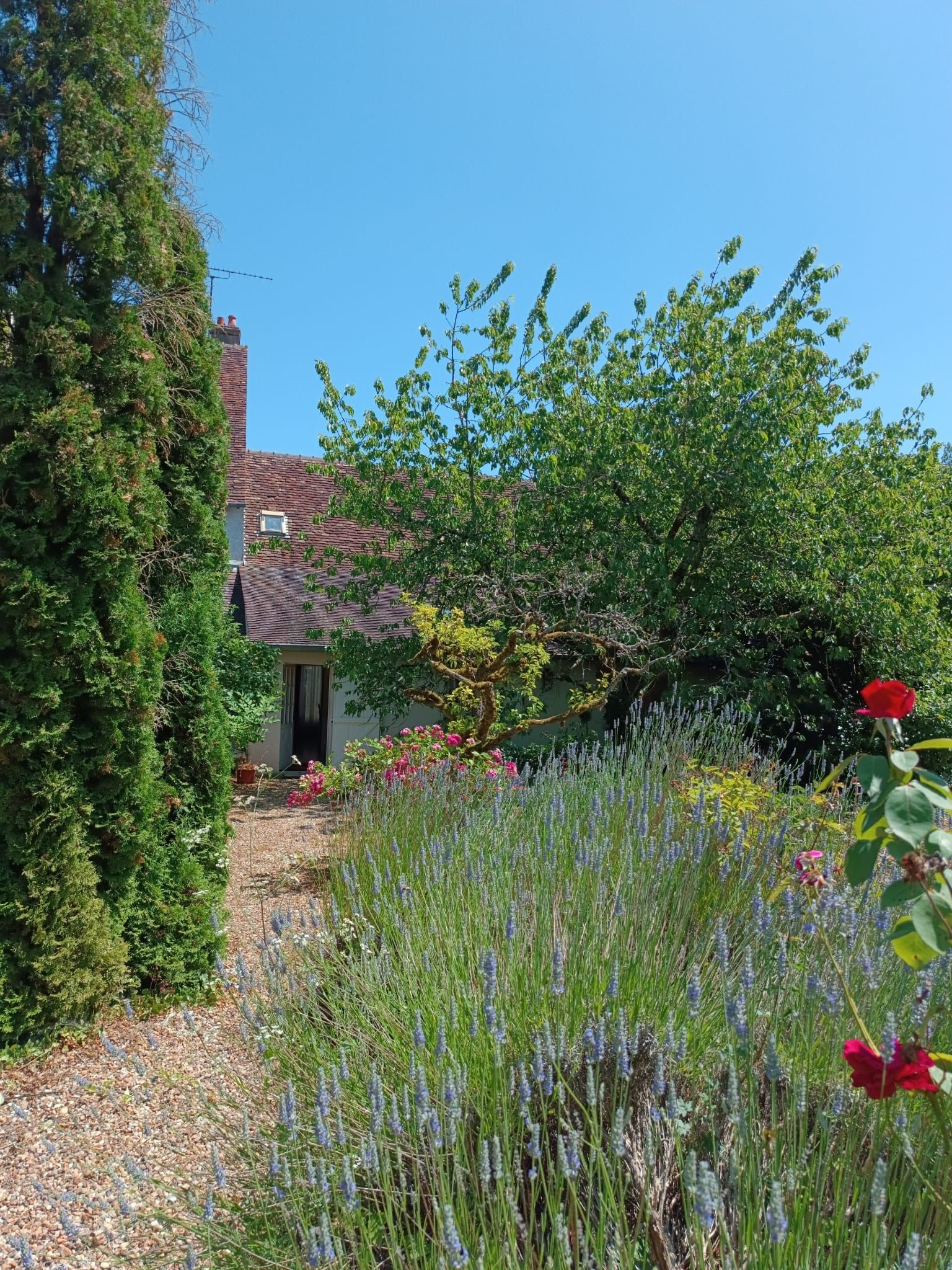 house 12 Rooms for sale on BLOIS (41000)