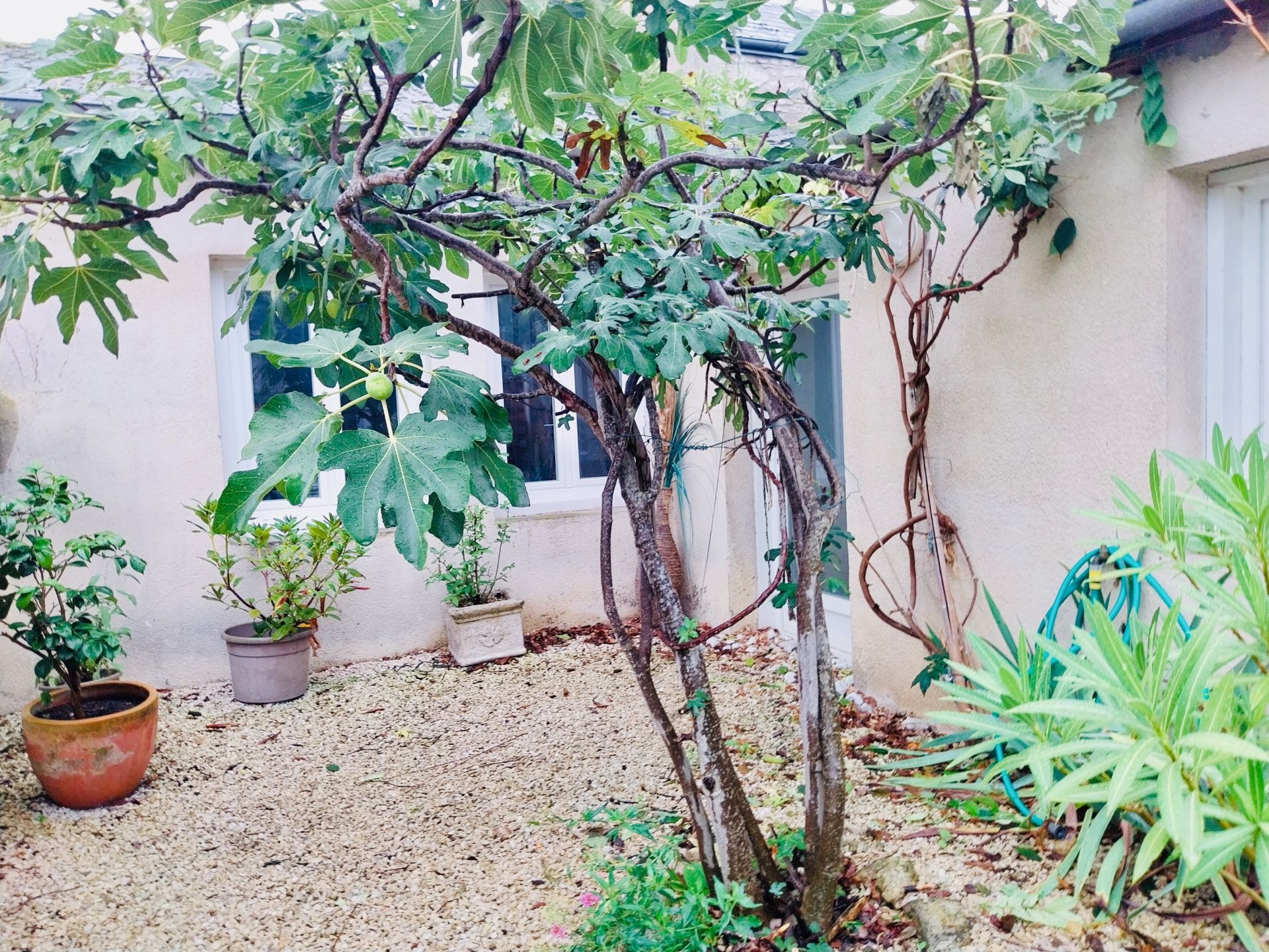 maison 6 Pièces en vente sur ORLEANS (45000)