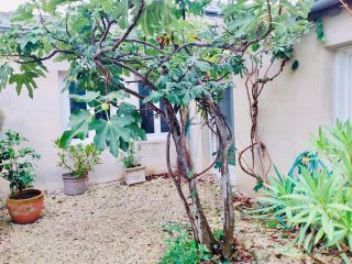 maison 6 Pièces en vente sur ORLEANS (45000)