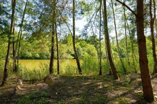 house 7 Rooms for sale on LOURY (45470)