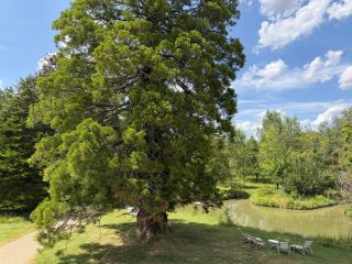 castle 14 Rooms for sale on CHINON (37500)
