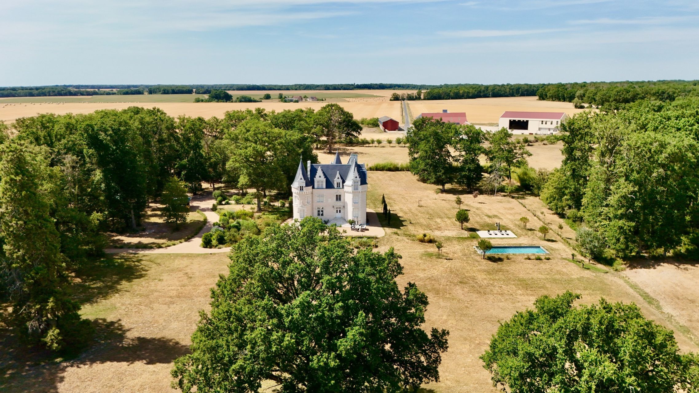 castle 8 Rooms for sale on GENILLE (37460)