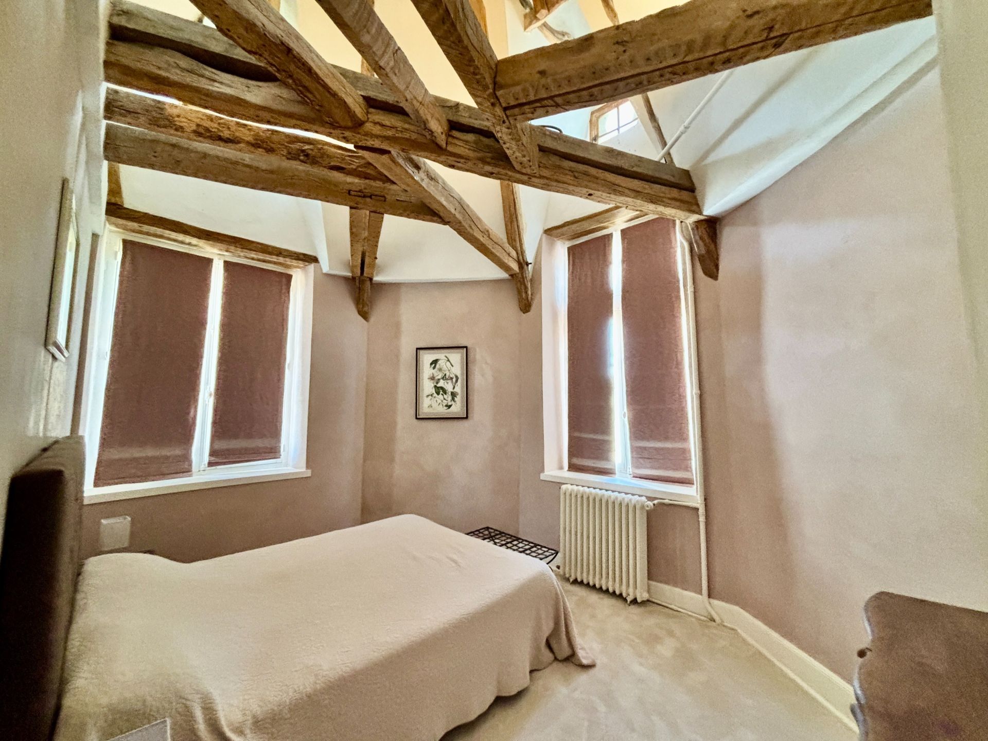 castle 8 Rooms for sale on GENILLE (37460)