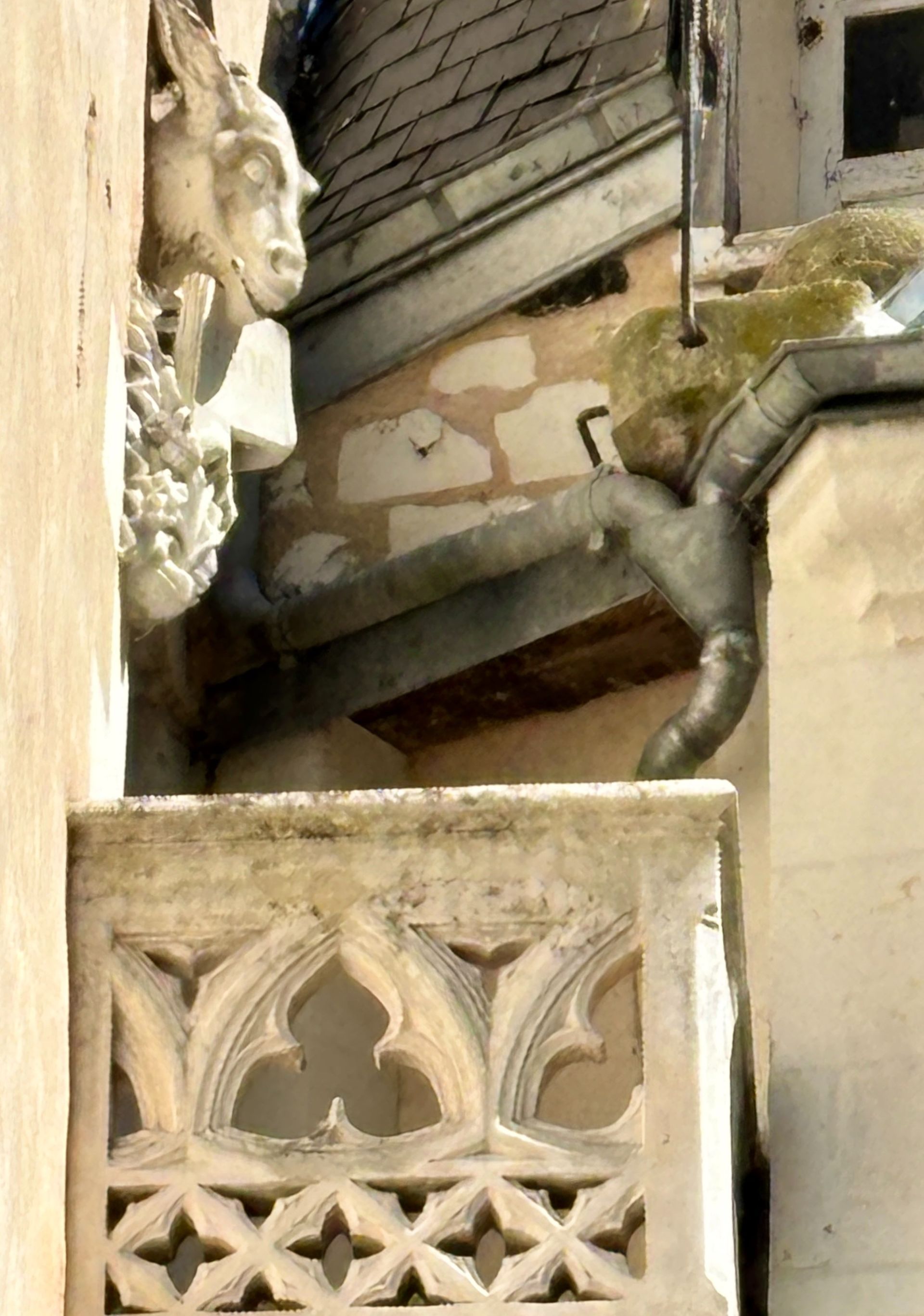 castle 8 Rooms for sale on GENILLE (37460)