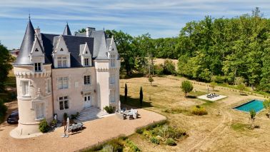 castle 8 Rooms for sale on GENILLE (37460)