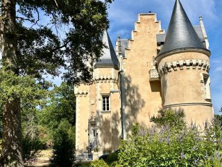 castle 8 Rooms for sale on GENILLE (37460)
