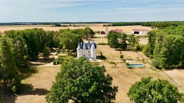 castle 8 Rooms for sale on GENILLE (37460)