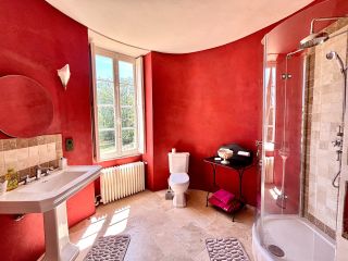 castle 8 Rooms for sale on GENILLE (37460)