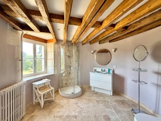 castle 8 Rooms for sale on GENILLE (37460)