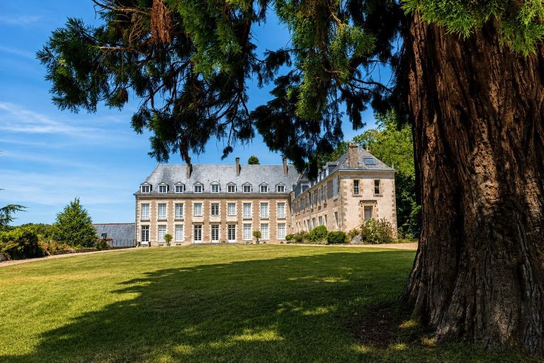 castle 17 Rooms for sale on AMBOISE (37400)