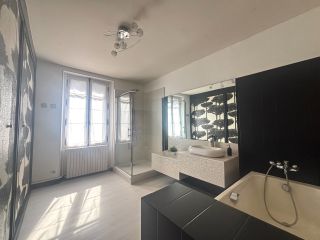 house 9 Rooms for sale on ORLEANS (45000)