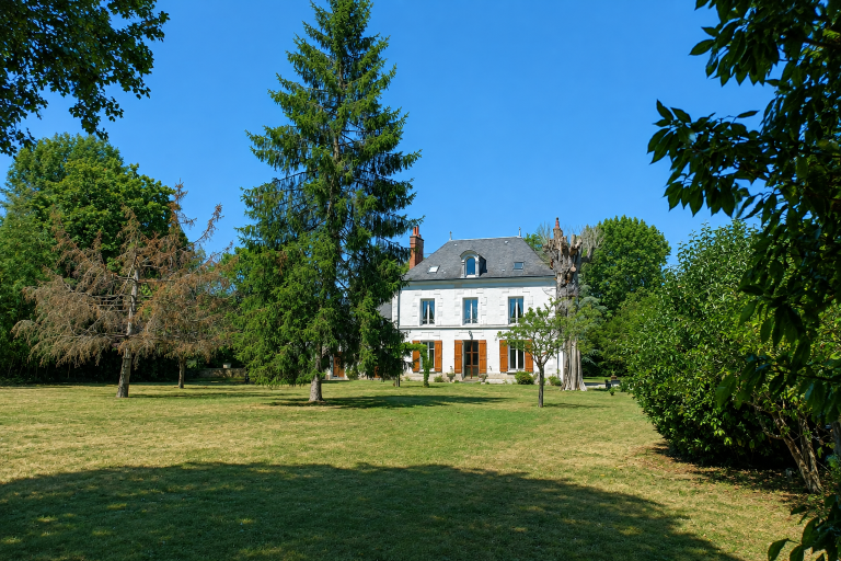 maison 10 Pièces en vente sur VEUZAIN SUR LOIRE (41150)