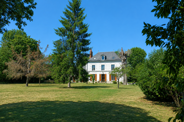 Vente Maison Veuzain-sur-Loire 10&nbsp;Pièces 203&nbsp;m²