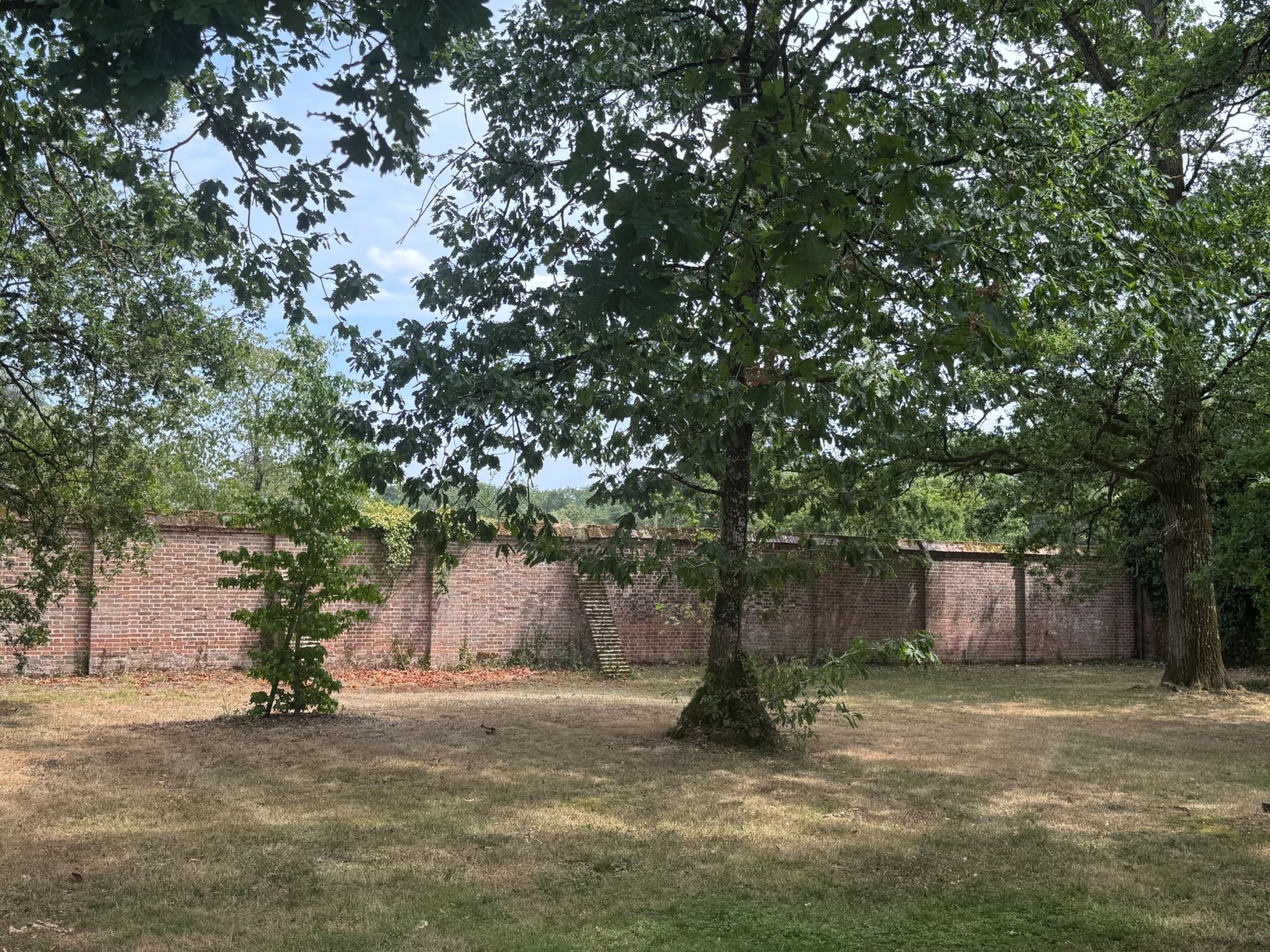 house 21 Rooms for sale on LIGNY LE RIBAULT (45240)