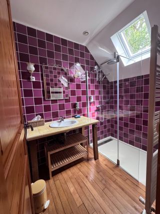 house 21 Rooms for sale on LIGNY LE RIBAULT (45240)
