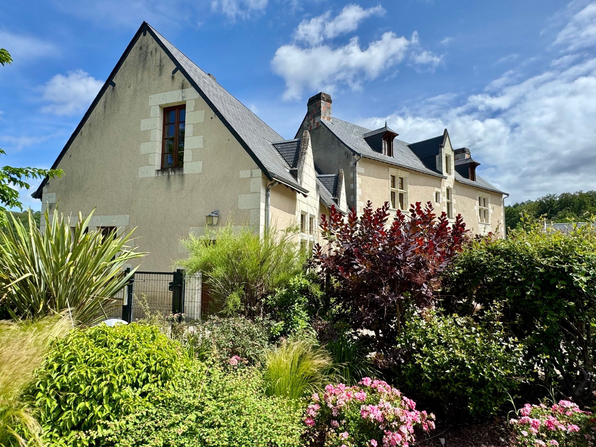 château 29 Pièces en vente sur BOURGUEIL (37140)