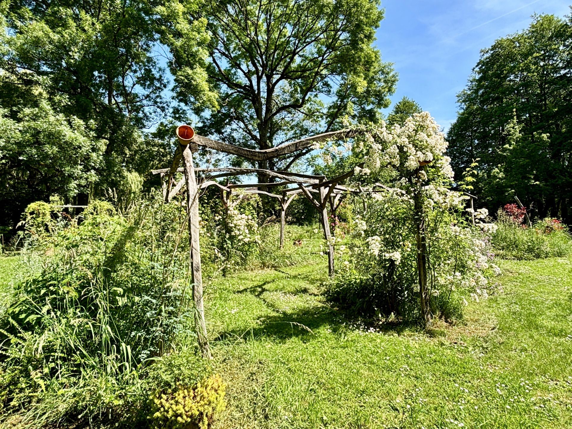 maison 9 Pièces en vente sur LIGUEIL (37240)