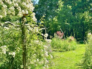 maison 9 Pièces en vente sur LIGUEIL (37240)