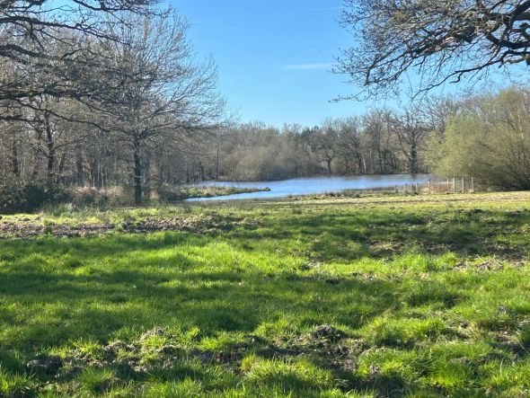 Vente Propriété de chasse La Ferté-Saint-Aubin 6&nbsp;Pièces 300&nbsp;m²