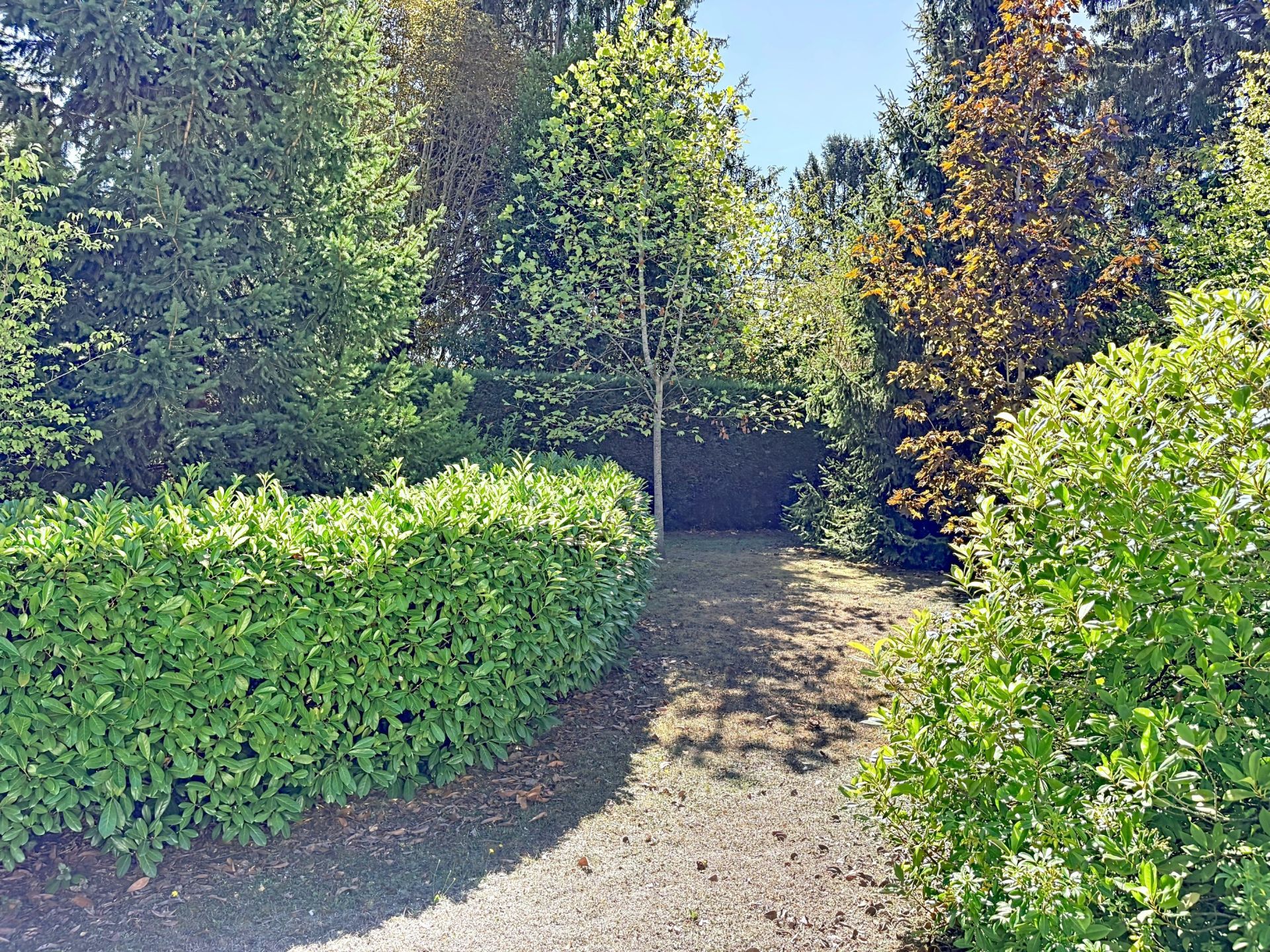 house 6 Rooms for sale on ORLEANS (45000)