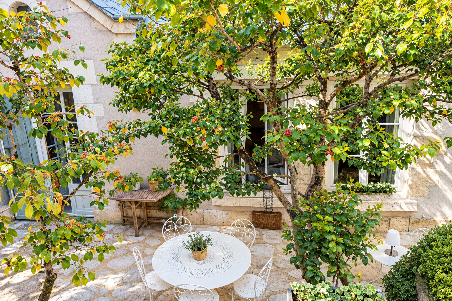 house 11 Rooms for sale on BLOIS (41000)