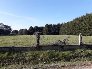 buildable land for sale on BLOIS (41000)