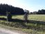 buildable land for sale on BLOIS (41000)