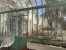 mansion (hôtel particulier) 11 Rooms for sale on TOURS (37000)