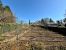 mansion 16 Rooms for sale on ST CYR SUR LOIRE (37540)