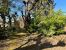 house 8 Rooms for sale on ST CYR SUR LOIRE (37540)