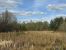 propriété de chasse 4 Pièces en vente sur LA FERTE ST CYR (41220)