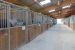 equestrian property 7 Rooms for sale on ARDON (45160)