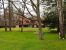 Sale House La Ferté-Saint-Cyr 10 Rooms 343 m²