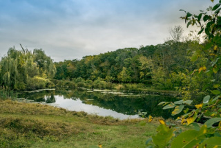 Vente d’étang en Sologne : propriétés à vendre