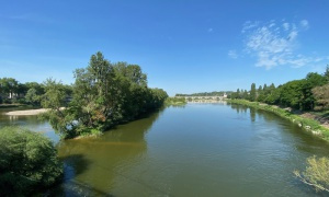Acheter une forêt en Sologne et Val de Loire : l’investissement patrimonial entre rendement et transmission